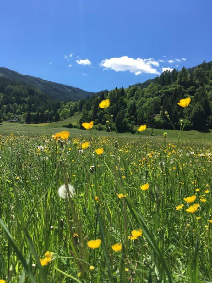 Haus Agnes, Murau Exteriör bild