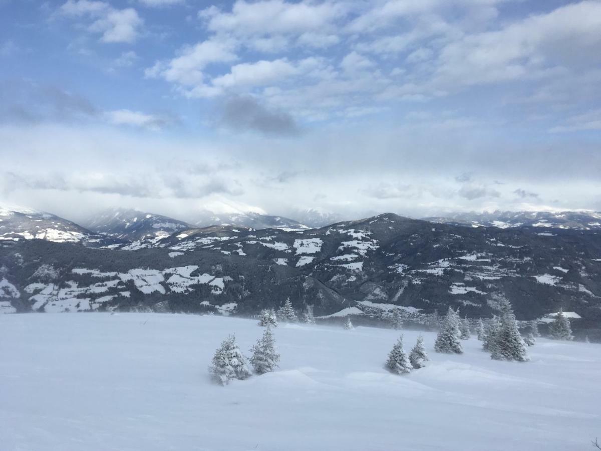 Haus Agnes, Murau Exteriör bild